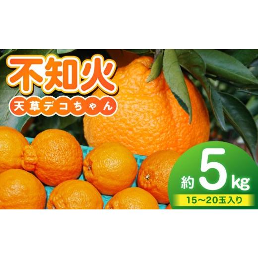 ふるさと納税 みかん・柑橘類 熊本県 天草市 S153-004_天草産 不知火 約5kg 約5kg