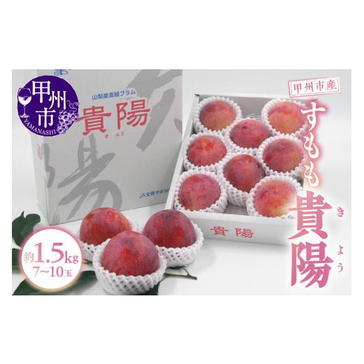 ふるさと納税 果物類 山梨県 甲州市 甲州市産 すもも『貴陽』約1.5kg(化粧箱中玉7〜10玉) 2027年発送 (APX)B12-195 2027年発送