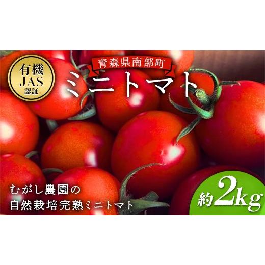 ふるさと納税 トマト ミニトマト 青森県 南部町 有機JAS ミニトマト 約2kg むがし農園 自然栽培 オーガニック 朝採り 完熟 フルーツトマト 有機栽培 無農薬 無…