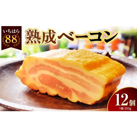 ふるさと納税 豚肉 千葉県 市原市 いちはら88熟成ベーコン 約250g×12個入 いちはら88熟成ベーコン 約250g×12個入 寄附金額:63,000円