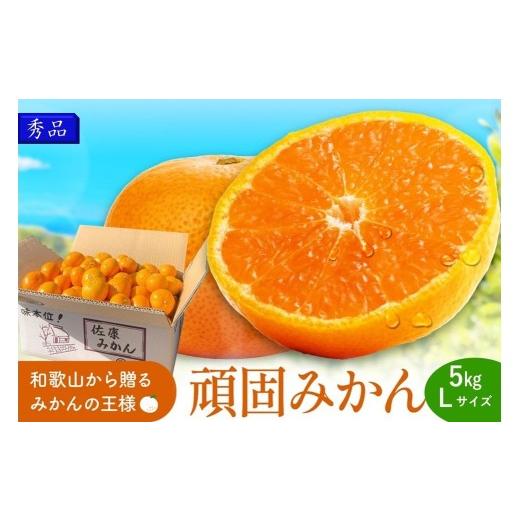 ふるさと納税 果物類 みかん 和歌山県 御坊市 和歌山県天田のこだわり頑固みかん 秀品 5kg Lサイズ Lサイズ