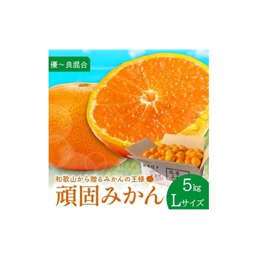 ふるさと納税 果物類 みかん 和歌山県 御坊市 和歌山県天田の頑固みかん 5kg (優〜良混合)Lサイズ Lサイズ