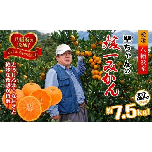 ふるさと納税 果物類 みかん 愛媛県 八幡浜市 先行受付 「日の丸みかん」と同産地 聖ちゃんの「媛一みかん」2Lサイズ 約7.5kg C39-14 1491362