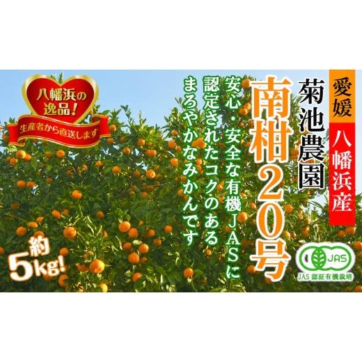 ふるさと納税 果物類 みかん 愛媛県 八幡浜市 先行受付 JAS認証有機栽培 濃厚な味わいの温州みかん 菊池農園「南柑20号」5kg C39-23 1044610