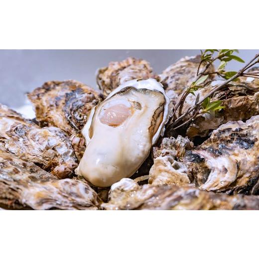 ふるさと納税 牡蠣 宮城県 大和町 殻付き牡蠣(生食用)冷凍 18個(約1.5kg) 生牡蠣 宮城県産 牡蛎 牡蠣 カキ かき 生食 オイスター カキフライ 牡蠣鍋 海鮮 …