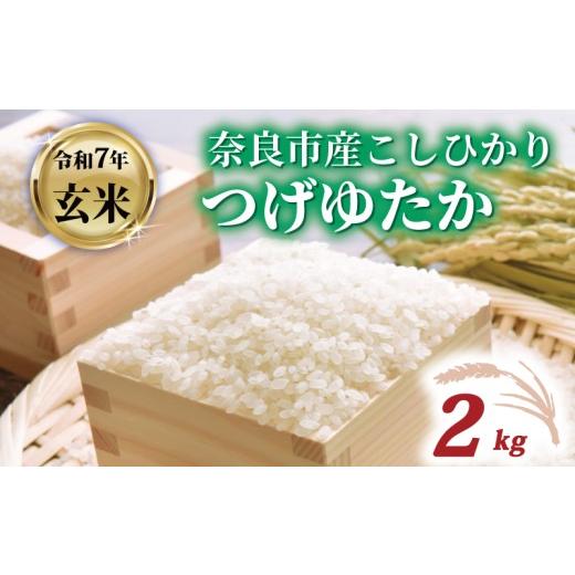 ふるさと納税 米 コシヒカリ 奈良県 奈良市 玄米 コシヒカリ 2kg 令和7年産 つげゆたか 米 お米 産地直送 農家直送 おむすび こしひかり お弁当 ご飯 ごはん …