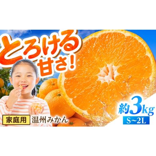 ふるさと納税 果物類 みかん 長崎県 南島原市 11月末〜発送 温州みかん 3kg(S〜2L) / みかん ミカン 蜜柑 フルーツ 果物 旬 先行予約 柑橘 産地直送 家庭…