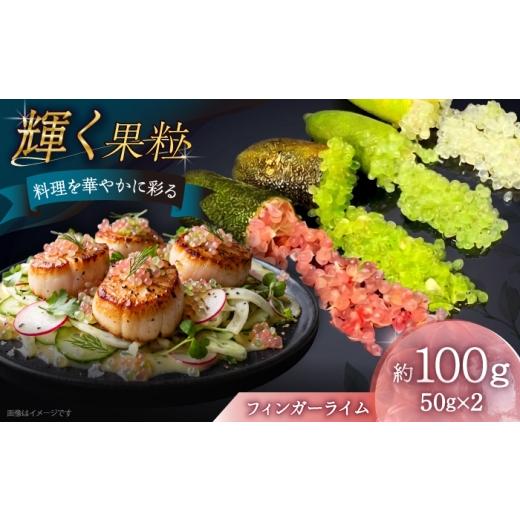 ふるさと納税 みかん・柑橘類 長崎県 南島原市 10〜11月発送 フィンガーライム 約100g 果物 ライム フルーツ 柑橘類 果実 果実酒 国産 / 南島原市 / 中村農…