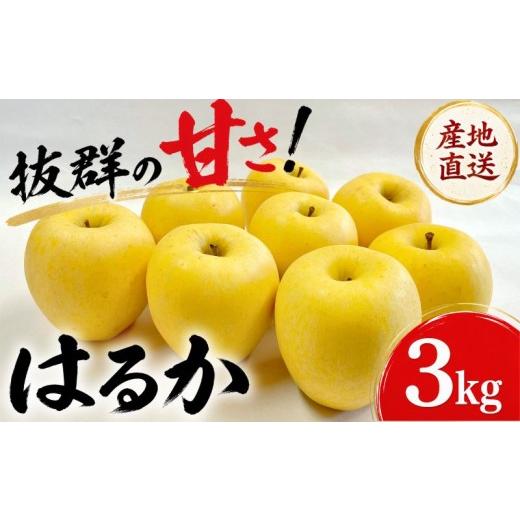 ふるさと納税 りんご 岩手県 盛岡市 期間限定 訳あり りんご はるか 3kg 12月上旬~発送 先行予約 りんご リンゴ ringo りんご はるか 林檎 訳アリ わけあり …