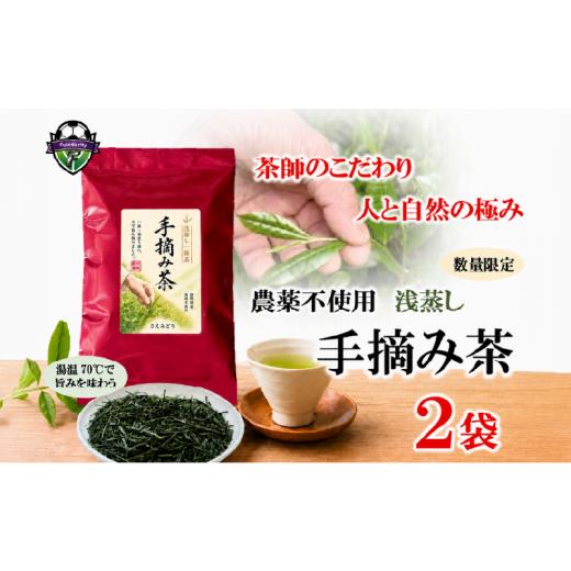 ふるさと納税 お茶類 緑茶(茶葉・ティーバッグ) 静岡県 藤枝市 人 と 自然 の 極み の 手摘み茶 浅蒸し さえみどり 50g × 2袋 セット 緑茶 静岡県産 日本茶…