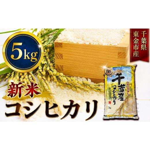 ふるさと納税 米 千葉県 東金市 新米 こしひかり 5kg 米 お米 こめ コメ コシヒカリ 8年度産 千葉県産 kome okome 精米 白米 ご飯 ごはん 備蓄米 国産 炊飯 ブ…