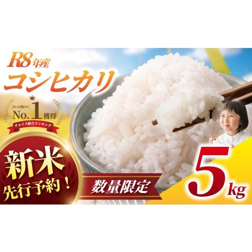 ふるさと納税 米 コシヒカリ 千葉県 香取市 新米 コシヒカリ 5kg 令和8年産 精米 一等米 白米 米 お米 先行予約 数量 限定 こしひかり 5キロ 米5kg ごはん こ…