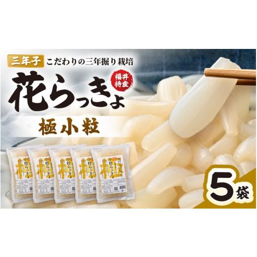 ふるさと納税 加工品等 漬物 福井県 坂井市 福井特産 三年子花らっきょ 極小粒らっきょ 200g×5袋 化学調味料不使用 『こだわりの三年掘り栽培』 希少 漬け …