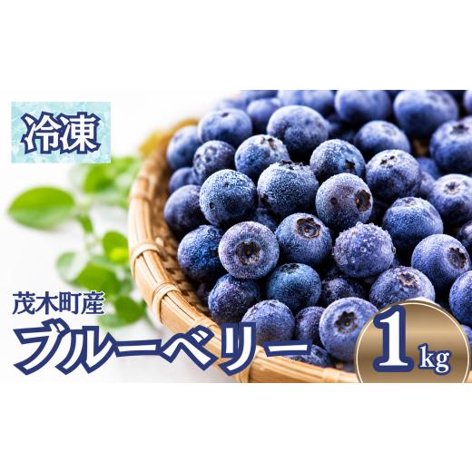 ふるさと納税 ぶどう マスカット 栃木県 茂木町 冷凍ブルーベリー もてぎ育ちのブルーベリー 約1kg(約500g×2)| ブルーベリー ぶるーべりー 冷凍ブルーベリー …