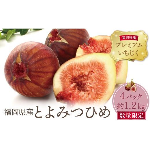ふるさと納税 果物類 福岡県 福智町 Z20-01 とよみつひめイチジク4パック(約1.2kg) 9/30まで 2026年発送 先行予約 無花果 いちじく TVで紹介されました フ…