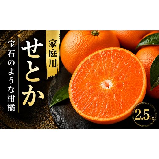 ふるさと納税 みかん・柑橘類 愛媛県 愛南町 先行予約 せとか 2.5kg 家庭用 ハウス栽培 柑橘 フルーツ 果物 蜜柑 みかん くだもの mikan かんきつ オレンジ せ…