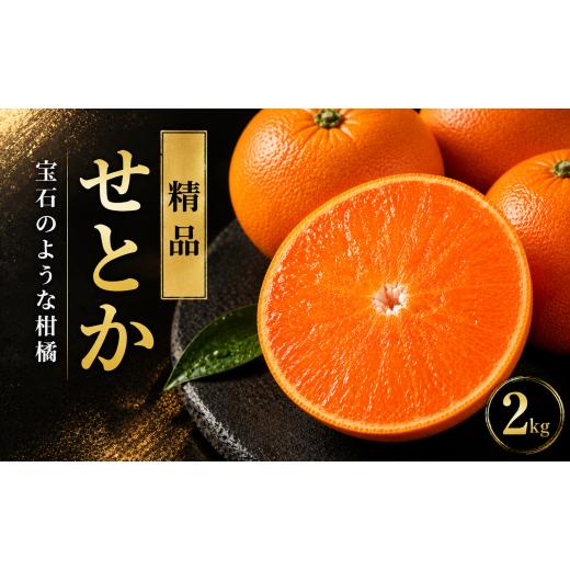 ふるさと納税 みかん・柑橘類 愛媛県 愛南町 先行予約 せとか 2kg 精品 ハウス栽培 柑橘 フルーツ 果物 蜜柑 みかん くだもの mikan かんきつ オレンジ せとか…