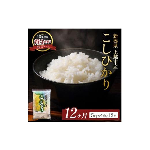 ふるさと納税 米 コシヒカリ 新潟県 上越市 9月開始 コシヒカリ 無洗米 新潟県 上越産 5kg 3か月 定期便 こしひかり 五つ星お米マイスターのいるお店 お米 精…