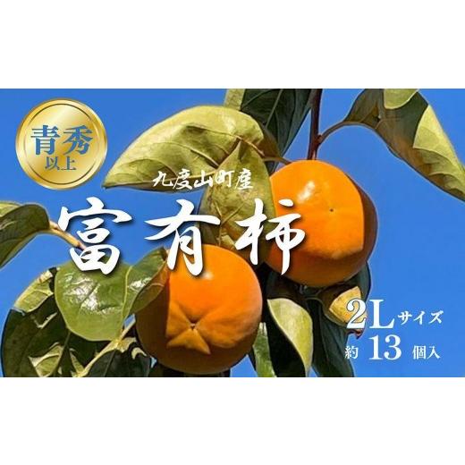 ふるさと納税 果物類 柿 和歌山県 九度山町 [先行予約]富有柿(青秀以上 2Lサイズ 約13個入り)[2026年11月下旬より順次発送]