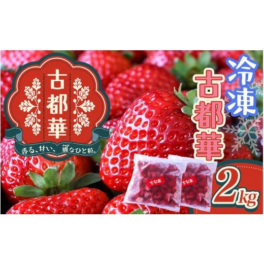 ふるさと納税 いちご 奈良県 葛城市 古都華 冷凍いちご 2kg (1kg×2パック) / 西田農園 ブランド いちご 苺 ことか フルーツ 果物 奈良県 葛城市