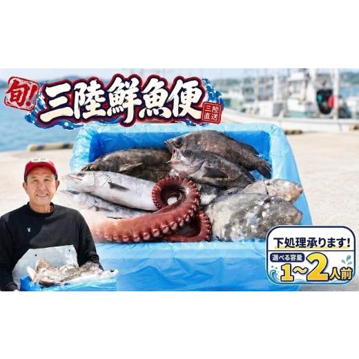 ふるさと納税 旬の鮮魚等 岩手県 大船渡市 三陸の鮮魚便 1人~2人用 冷蔵 魚種お任せ 水揚げ 海鮮 魚介 産地直送 新鮮 天然 魚 詰め合わせ 下処理 鮮魚便 鮮魚…