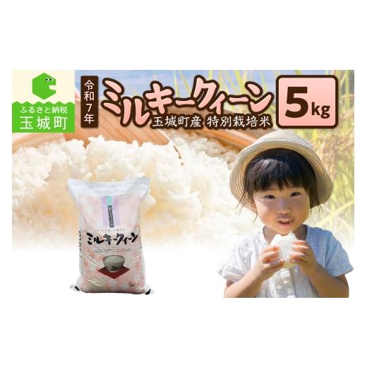 ふるさと納税 米 ミルキークイーン 三重県 玉城町 令和7年産 ミルキークイーン 5kg 精米 米 白米 特別栽培米 5キロ 2025年産 お米 こめ ご飯 お弁当 おにぎり …
