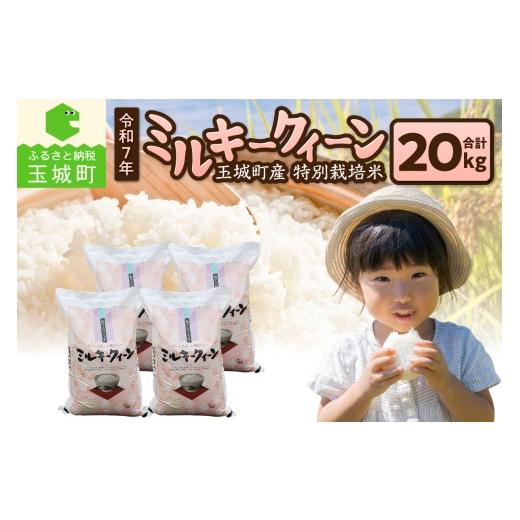 ふるさと納税 米 ミルキークイーン 三重県 玉城町 令和7年産 ミルキークイーン 20kg 精米 米 白米 特別栽培米 20キロ 2025年産 お米 こめ ご飯 お弁当 おにぎ…