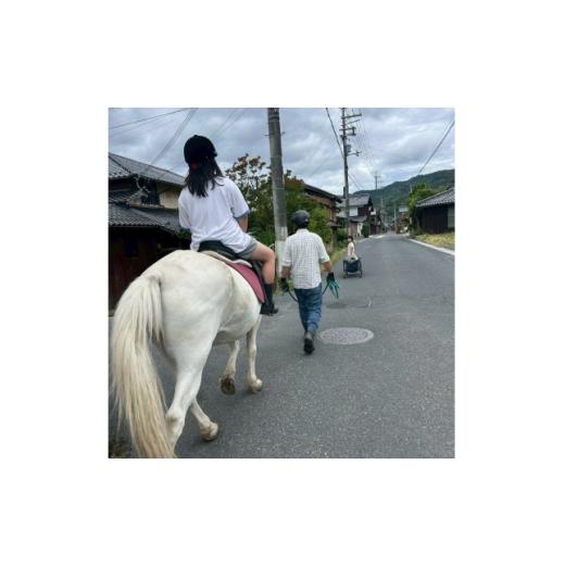 ふるさと納税 体験チケット 京都府 与謝野町 馬の暮らし体験(ホースセラピー)馬と触れあい乗ってみる 2時間コース 1名様 京都府与謝野町 1758579