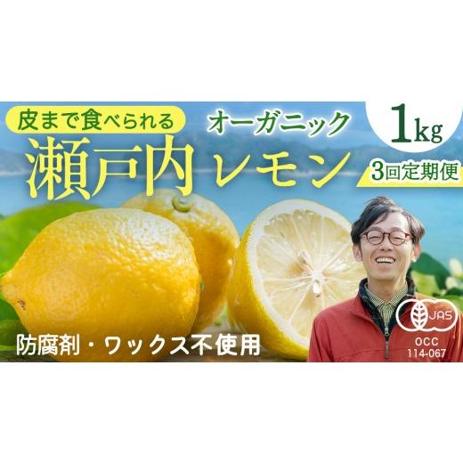 ふるさと納税 みかん・柑橘類 レモン 広島県 大崎上島町 先行予約 瀬戸内オーガニックレモン約1kg定期便 月1回×3回 12月以降発送 有機JAS認証 果物 皮まで使…