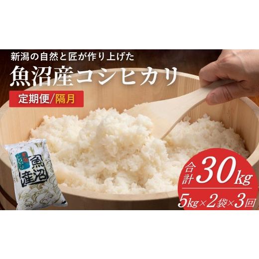ふるさと納税 米 コシヒカリ 新潟県 小千谷市 米 コシヒカリ魚沼産コシヒカリ 魚沼コシヒカリ 定期便 計30kg(5kg2袋×3回) 隔月お届け 令和7年産 精米 共栄農…