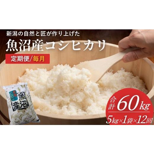 ふるさと納税 米 コシヒカリ 新潟県 小千谷市 米 コシヒカリ魚沼産コシヒカリ 魚沼コシヒカリ 定期便 計60kg (5kg1袋×12回) 毎月お届け 令和7年産 精米 共栄…