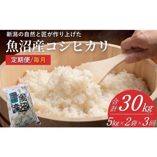 ふるさと納税 米 コシヒカリ 新潟県 小千谷市 米 コシヒカリ魚沼産コシヒカリ 魚沼コシヒカリ 定期便 計30kg (5kg2袋×3回) 毎月お届け 令和8年産 先行予約 精…