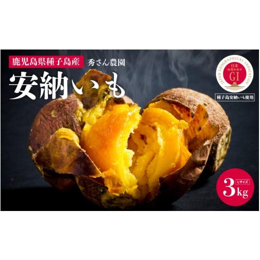 ふるさと納税 野菜類 サツマイモ 鹿児島県 南種子町 先行予約 安納いも さつまいも 3kg (Lサイズ) 秀さん農園 種子島 焼きいも 焼き芋 本場 安納芋 さつま…