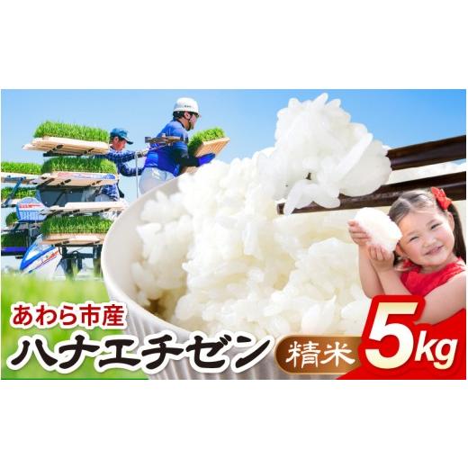 ふるさと納税 米 福井県 あわら市 先行予約 令和8年産 ハナエチゼン 精米 5kg(農事組合法人イーノなかのはま100) / 北陸 福井県産 あわら市 ブランド米 白…