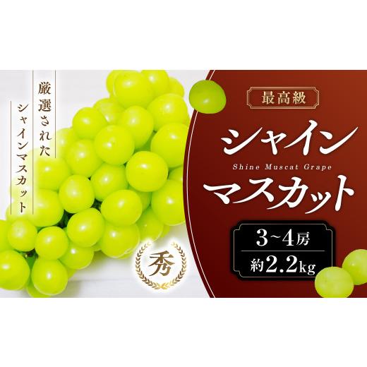 ふるさと納税 ぶどう マスカット 山梨県 甲斐市 2026年発送 最高級 シャインマスカット3〜4房 約2.2kg 先行予約 先行 予約 シャインマスカット しゃいんます…