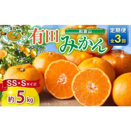ふるさと納税 果物類 みかん 和歌山県 湯浅町 2026年先行予約 有田みかん 訳あり 家庭用 内容量 約5kg サイズ混合 3回 お届け 定期便 みかん 温州みかん フル…
