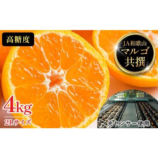 ふるさと納税 果物類 みかん 和歌山県 有田川町 有田みかん 4kg 2Lサイズ 光センサー使用 高糖度 4kg (2Lサイズ) [10,000円]