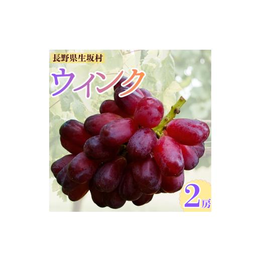 ふるさと納税 果物類 ぶどう 長野県 生坂村 ウインク 約1.1kg(2房)| ぶどう ブドウ 葡萄 皮ごと 種無し フルーツ 果実 長野県 生坂村