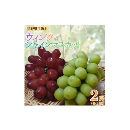 ふるさと納税 ぶどう マスカット 長野県 生坂村 シャインマスカット、ウインク 約1.1kg(各1房ずつ)| ぶどう ブドウ 葡萄 皮ごと 種無し フルーツ 果実 長…
