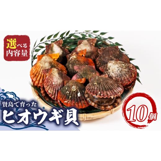 ふるさと納税 魚貝類 ホタテ 三重県 志摩市 ヒオウギ貝 10個 魚介 貝 ヒオウギ貝 ひおうぎ貝 酒蒸し 網焼き バター焼き バーベキュー 焼き貝 蒸し 獲れたて 冷…