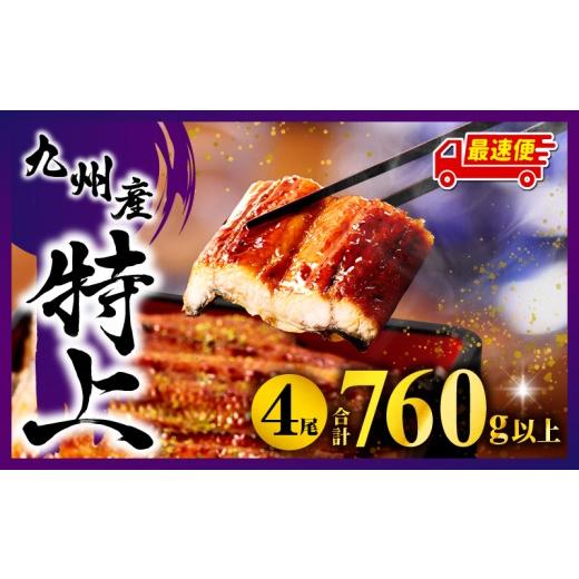 ふるさと納税 うなぎ 宮崎県 宮崎市 最速便 九州産うなぎ蒲焼4尾 計760g以上_M040-011-2W 最速便