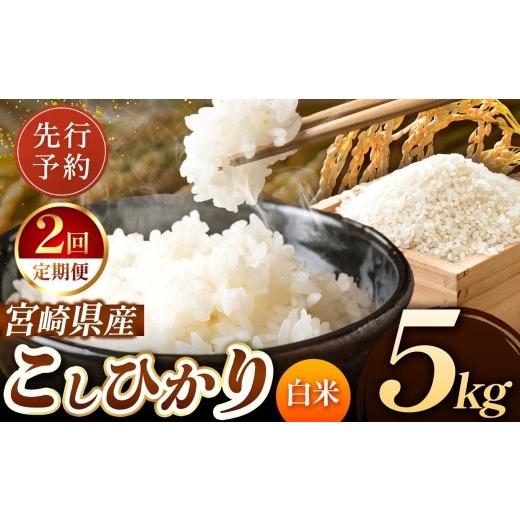 ふるさと納税 米 コシヒカリ 宮崎県 五ヶ瀬町 定期便2回 令和8年産 こしひかり 5kg (白米) 宮崎県産 | 米 こめ お米 おこめ 精米 白米 宮崎県 五ヶ瀬町 定…