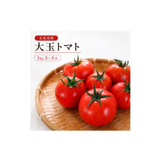 ふるさと納税 野菜類 トマト 熊本県 玉名市 玉名市産 大玉トマト 1kg(3〜5玉) | 野菜 やさい トマト ミニトマト 特選 熊本県 玉名市