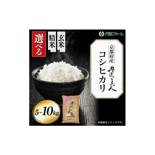 ふるさと納税 米 コシヒカリ 京都府 福知山市 令和7年産 京都府産コシヒカリ「丹波美人」 (白米5kg) fc-ZW001-R7-A 丹波ファーム 白米 × 5kg