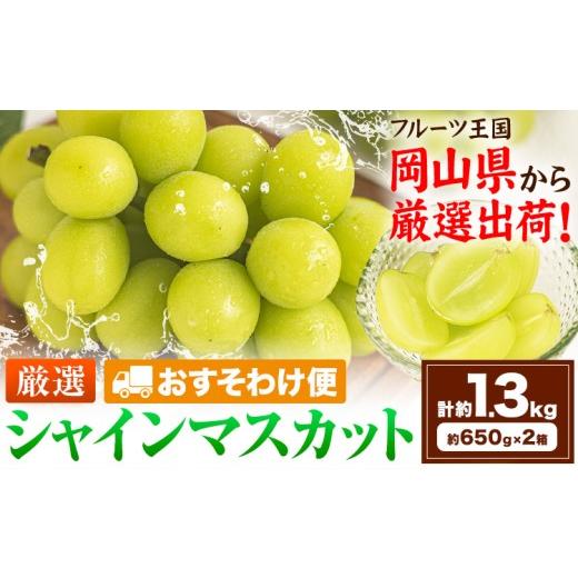 ふるさと納税 ぶどう マスカット 岡山県 笠岡市 おすそわけ便 シャインマスカット 計約1.3kg (約650g(1房)×2箱)[2026年9月上旬-11月上旬頃出荷]岡山県 笠…