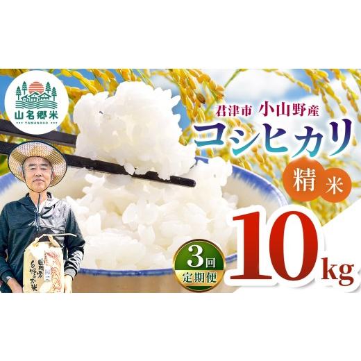 ふるさと納税 米 コシヒカリ 千葉県 君津市 定期便 3回 精米 (白米)令和7年産 君津市小山野産 コシヒカリ 10kg 3回 | あかかげ農園 千葉稲作 こしひかり 千…