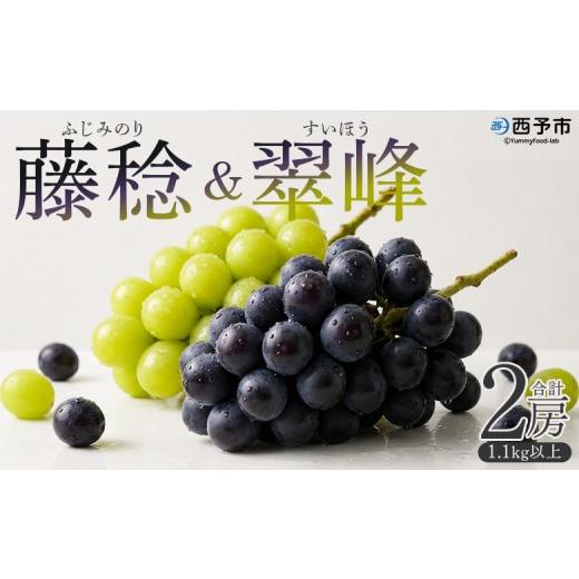 ふるさと納税 果物類 ぶどう 愛媛県 西予市 先行予約 旬のブドウ 愛媛県西予市産 藤稔&翠峰 2房(約1.1kg以上) 『2026年8月中旬から9月上旬迄に順次出荷予定…