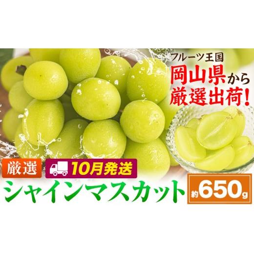 ふるさと納税 ぶどう マスカット 岡山県 笠岡市 10月発送 シャインマスカット 約650g(1房)[2026年10月上旬-10月末頃出荷]岡山県 笠岡市 シャインマスカット…