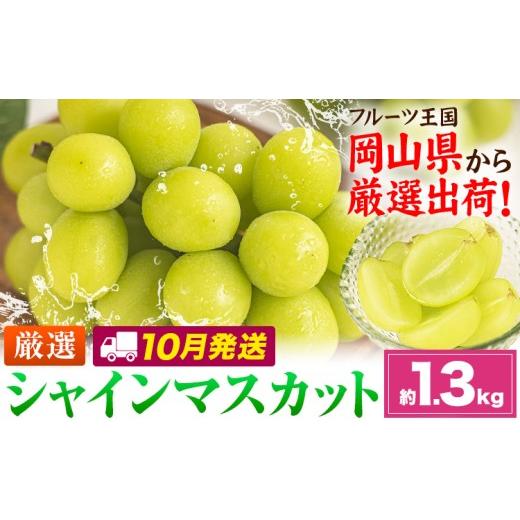 ふるさと納税 ぶどう マスカット 岡山県 笠岡市 10月発送 シャインマスカット 約1.3kg(2-3房)[2026年10月上旬-10月末頃出荷]岡山県 笠岡市 シャインマスカ…