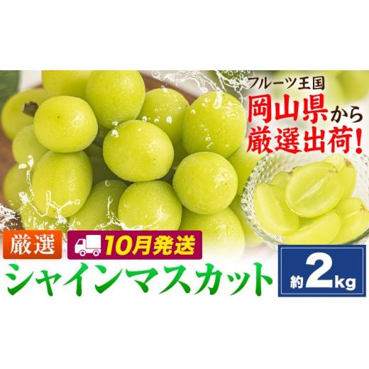 ふるさと納税 ぶどう マスカット 岡山県 笠岡市 10月発送 シャインマスカット 約2kg(3-5房)[2026年10月上旬-10月末頃出荷]岡山県 笠岡市 シャインマスカッ…